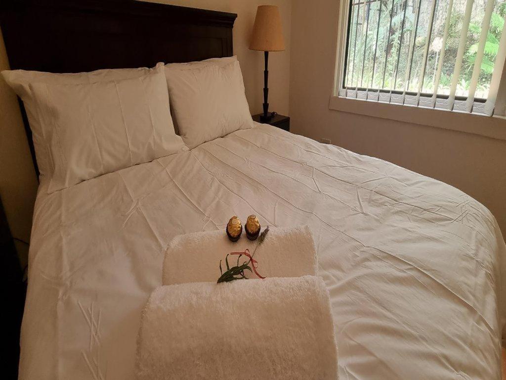 Cussonia Country Home Tierpoort 外观 照片